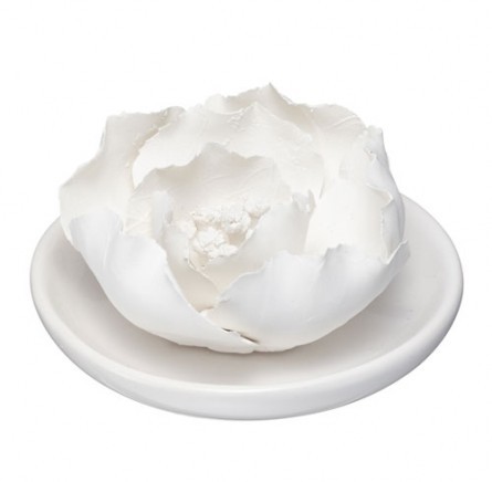 yFloralzO[ A} Z~bN2100<br>Fx_[ CA2