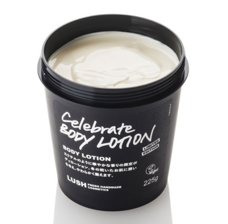 {fB[[VFZuCg {fB[V^2100<br>12/25܂ł̐ʌ̔