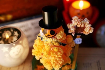 }WbNnEB^1050yAWF web shopz