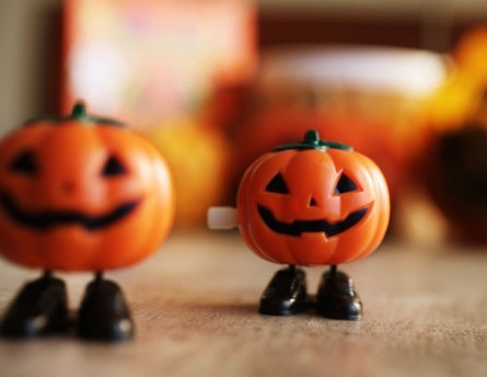 WIND?UP PUMPKIN^399yAWF web shopz