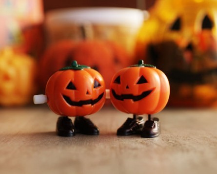 WIND?UP PUMPKIN^399yAWF web shopz