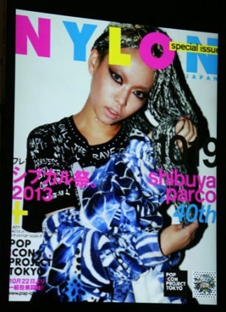 Beꂽʐ^̏ŉHwNYLON JAPANx̕\