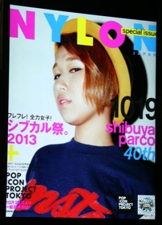 Beꂽʐ^̏ŉHwNYLON JAPANx̕\