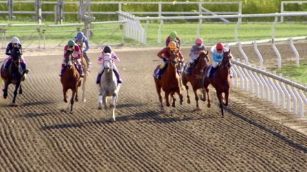 z؂ouPEACH JOHNv2014tCMJbg