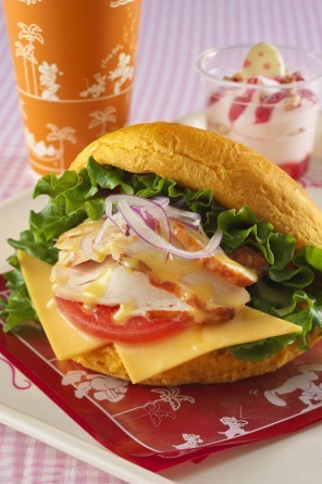 XyVZbgAX[xjA`P[Xt^1850yfBYj[h^XEB[gn[gEJtFz