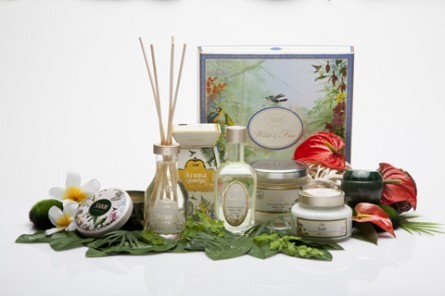 SABON 2014 S/S Collection@WildFree