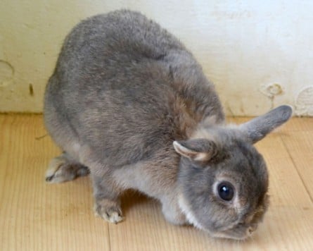 lU[hh[t݂̂EfbNXijyCafeЂ܁z