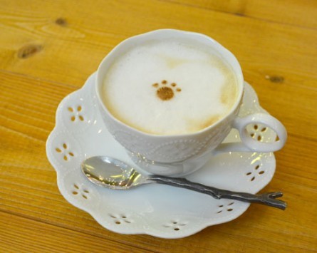 }[N킢uӂӂJtFevi480jycatcafeĂ܂̂z