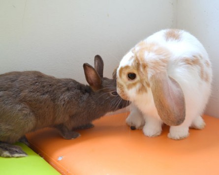 lU[hh[t̂ނႿijƃz[hbv18ijyCafeЂ܁z