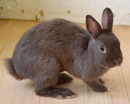 lU[hh[t̂ނႿijyCafeЂ܁z