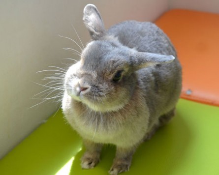 lU[hh[t݂̂EfbNXijyCafeЂ܁z