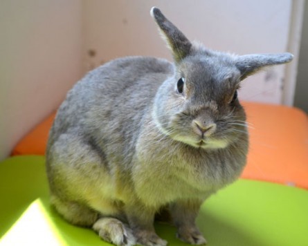 lU[hh[t݂̂EfbNXijyCafeЂ܁z