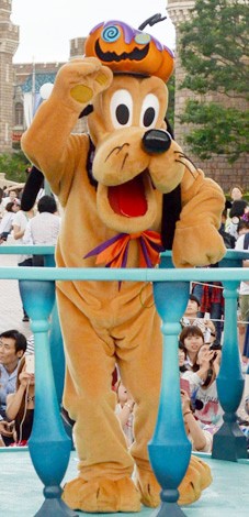 yfBYj[h^nbs[nEB[n[xXgz