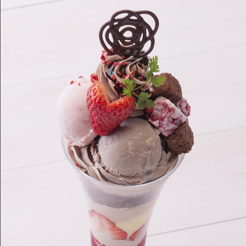 yR[W[R[i[z䕂ƃ`R̂悭΂ptF@ōiF980~