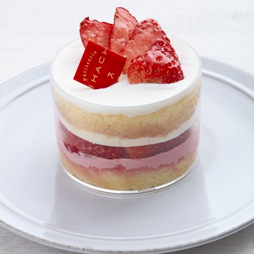 ypeBX[Ln`z䕂̃OXV[gP[L ҍ@ōiF584~