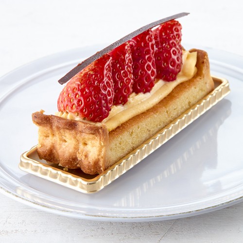 ypeBX[Ln`z䕂̃^g ҍ@ōiF584~