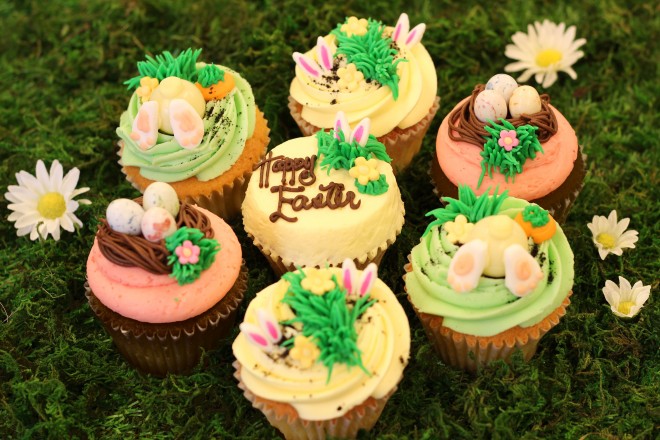 u[YJbvP[LvC[X^[P[L4o