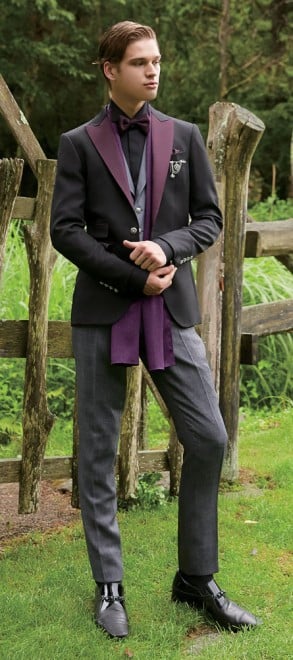 wX̔xɓoꂷvX`[tɂ^LV[h^fBYj[RNV3e