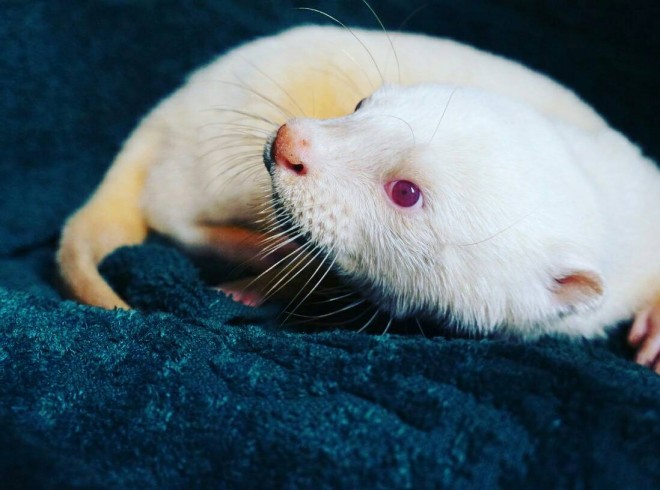 GL]`bNAj}̂XwRcCgxiEr܁j