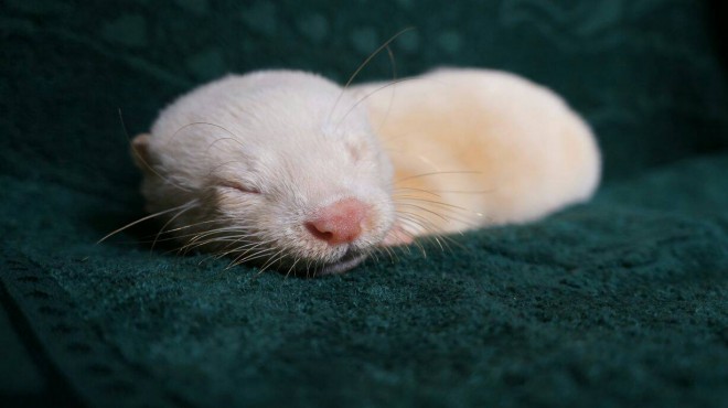 GL]`bNAj}̂XwRcCgxiEr܁j