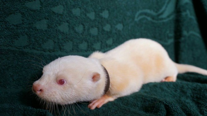 GL]`bNAj}̂XwRcCgxiEr܁j