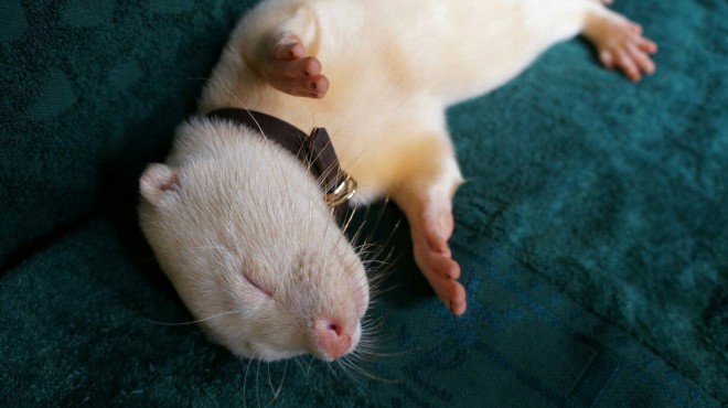 GL]`bNAj}̂XwRcCgxiEr܁j