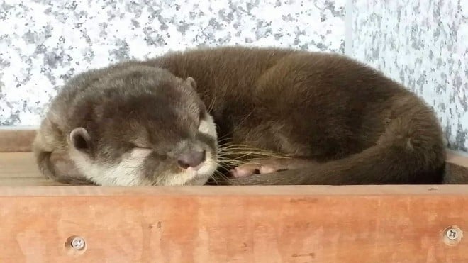 GL]`bNAj}̂XwRcCgxiEr܁j