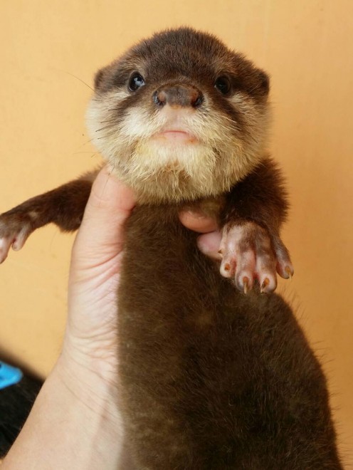 GL]`bNAj}̂XwRcCgxiEr܁j