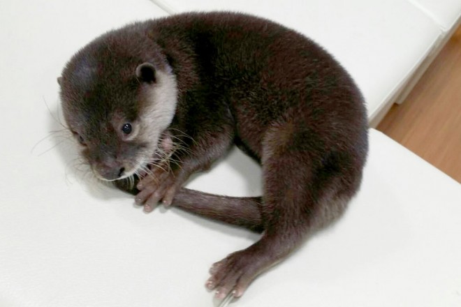 GL]`bNAj}̂XwRcCgxiEr܁j