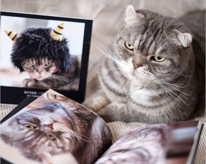 WCxgw݂ȂłtHgubN ZOO܁i#܃Y[܁jx