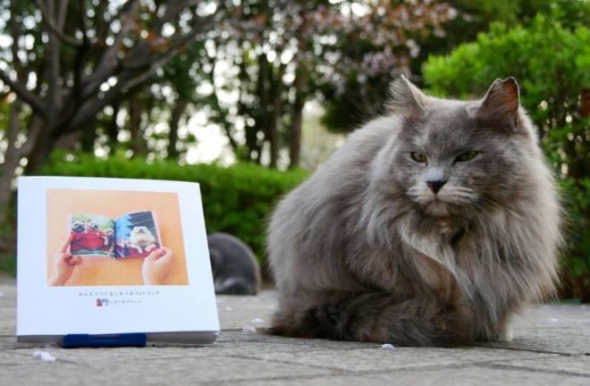 WCxgw݂ȂłtHgubN ZOO܁i#܃Y[܁jx