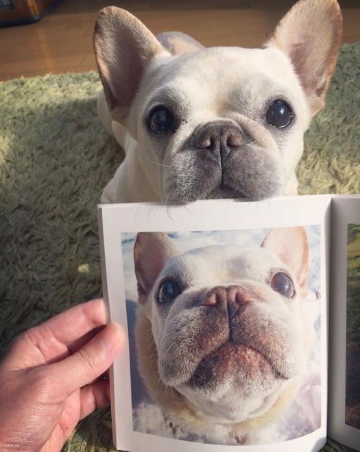 WCxgw݂ȂłtHgubN ZOO܁i#܃Y[܁jx