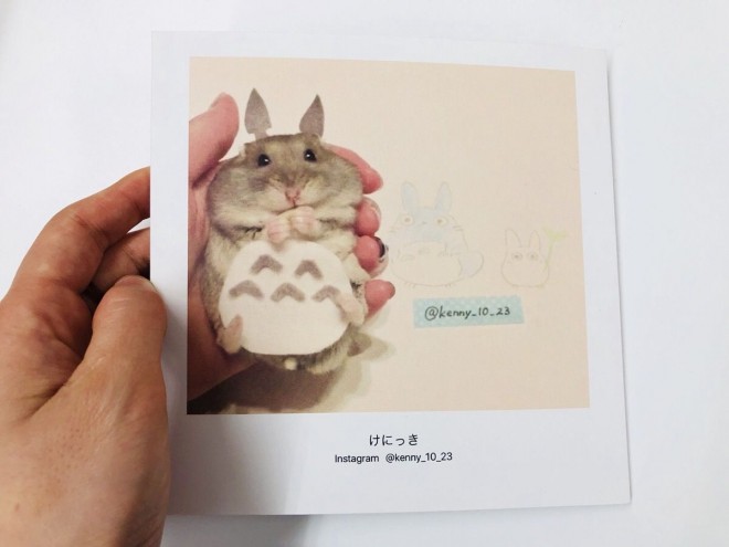 WCxgw݂ȂłtHgubN ZOO܁i#܃Y[܁jx