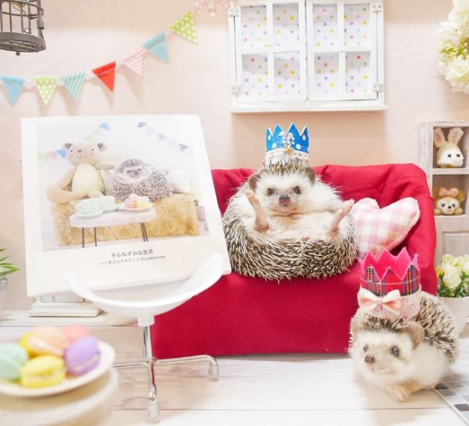 WCxgw݂ȂłtHgubN ZOO܁i#܃Y[܁jx