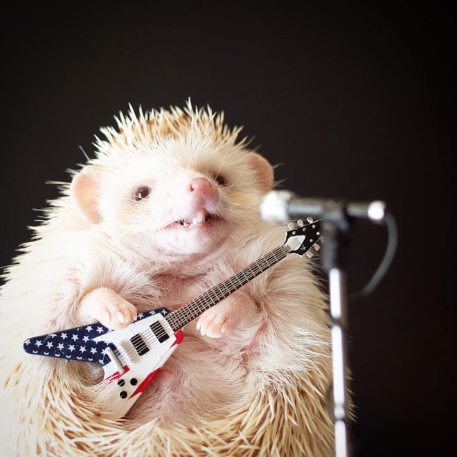 wCAFExgnlY~hCX^O}[̎ʐ^W