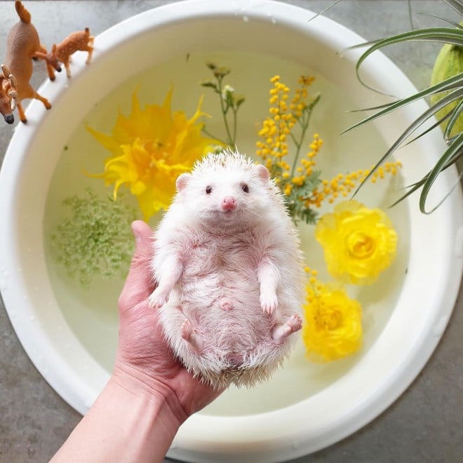 wCAFExgnlY~hCX^O}[̎ʐ^W