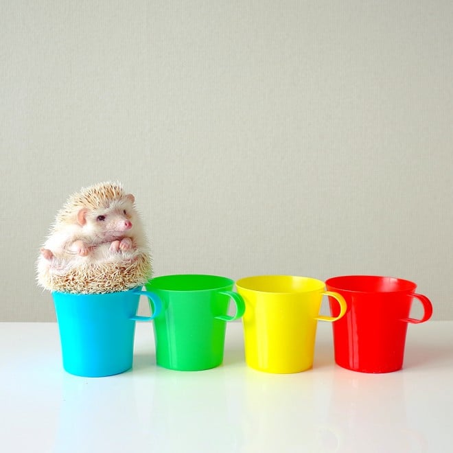 wCAFExgnlY~hCX^O}[̎ʐ^W