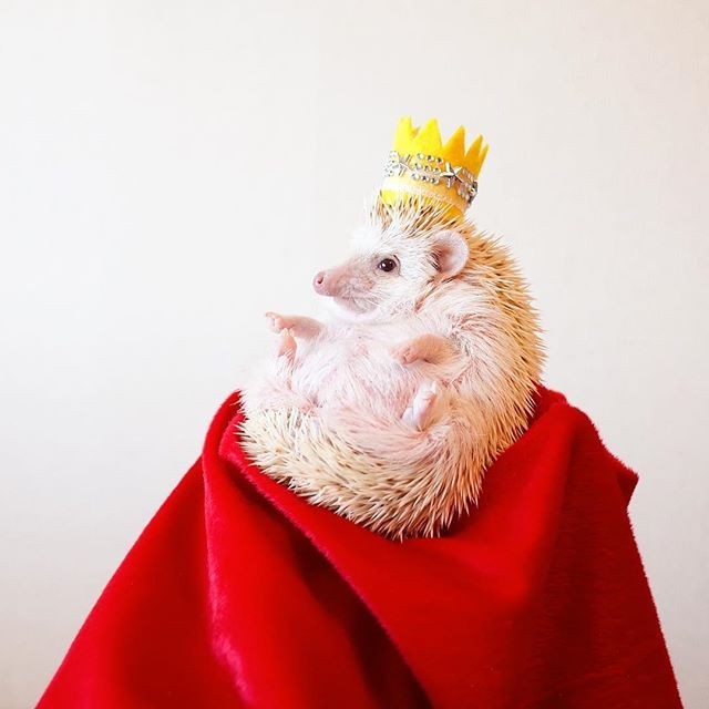 wCAFExgnlY~hCX^O}[̎ʐ^W