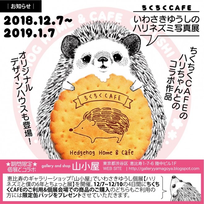 wCAFEx~u킳䂤vR{ʐ^W^JÊԁF2018N127`2019N17