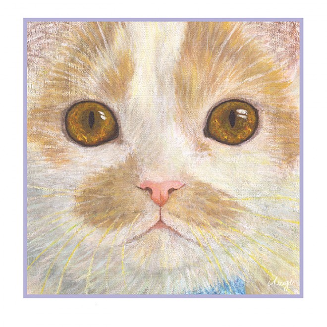 zCzC񂸃N[i[1,080~(ŕ)