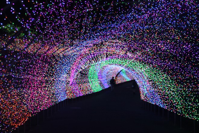 sőḰI600̕ΐFC~߂u݂胉h WG~l[V(R)`P̃CgsA`v@ꏊF݂胉h@JÊԁF2018N1011()`2019N217() 2018N111()A2019N115()`17()A21()`24()@_ԁF16:00`20:30