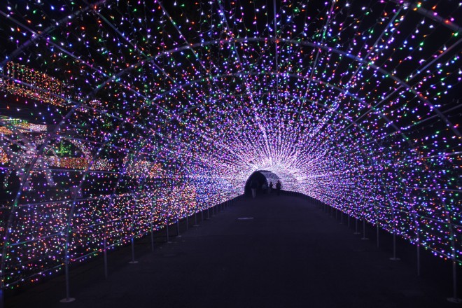 sőḰI600̕ΐFC~߂u݂胉h WG~l[V(R)`P̃CgsA`v@ꏊF݂胉h@JÊԁF2018N1011()`2019N217() 2018N111()A2019N115()`17()A21()`24()@_ԁF16:00`20:30