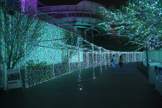 sőḰI600̕ΐFC~߂u݂胉h WG~l[V(R)`P̃CgsA`v@ꏊF݂胉h@JÊԁF2018N1011()`2019N217() 2018N111()A2019N115()`17()A21()`24()@_ԁF16:00`20:30