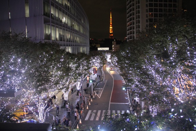 J15NB70LEDsSʂuZ{؃qY ₫C~l[VvBꏊFZ{؂₫ʂ@JÊԁF11 5 ij` 12 25 i΁j@_ԁF17F00`23F00