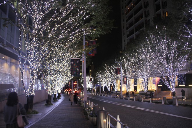 J15NB70LEDsSʂuZ{؃qY ₫C~l[VvBꏊFZ{؂₫ʂ@JÊԁF11 5 ij` 12 25 i΁j@_ԁF17F00`23F00