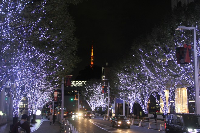 J15NB70LEDsSʂuZ{؃qY ₫C~l[VvBꏊFZ{؂₫ʂ@JÊԁF11 5 ij` 12 25 i΁j@_ԁF17F00`23F00