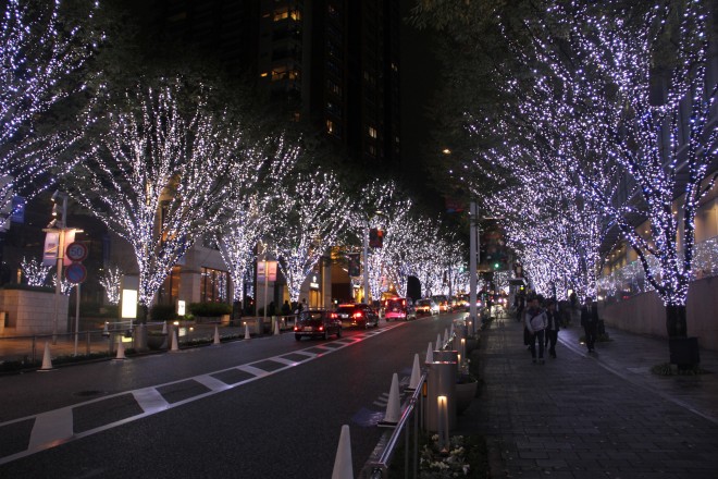 J15NB70LEDsSʂuZ{؃qY ₫C~l[VvBꏊFZ{؂₫ʂ@JÊԁF11 5 ij` 12 25 i΁j@_ԁF17F00`23F00