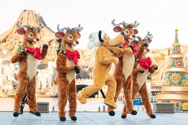 fBYj[V[uCbcENX}X^CIvi2018N118`1225j