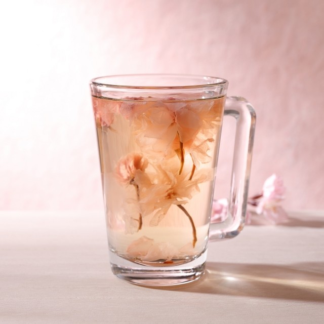 yG߂̂߁zt[eBO ubTi HOT _900j