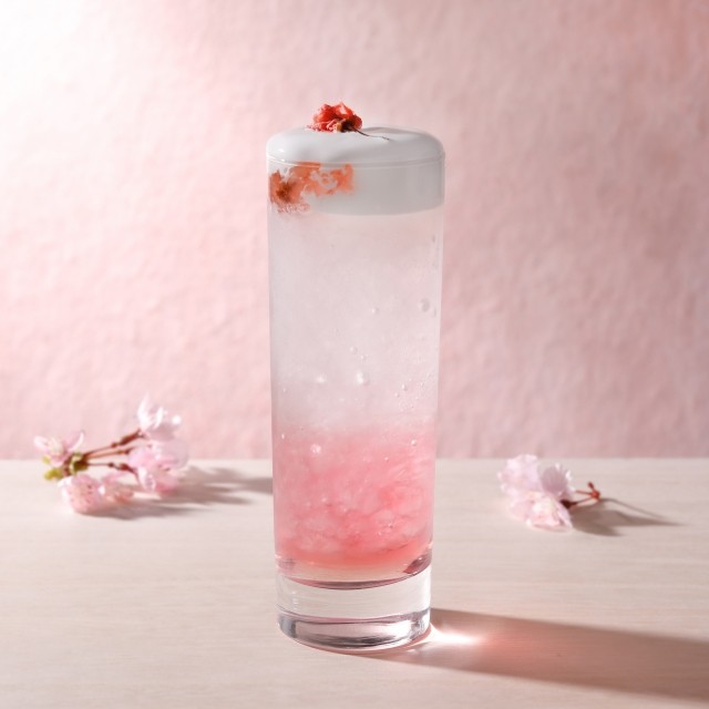 yG߂̂߁zubT~O  iICED _800j